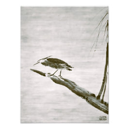 Foto Zen Classics - Sesshu - Heron and Willow