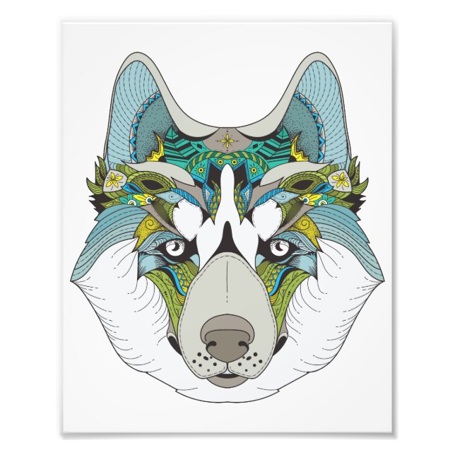 Foto Zenart estampado Husky Dog Blue Husky Face (Frente)