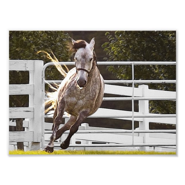 Foto Zest For Life (Frente)