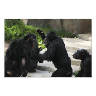 Foto Zoológico de Los Ángeles
