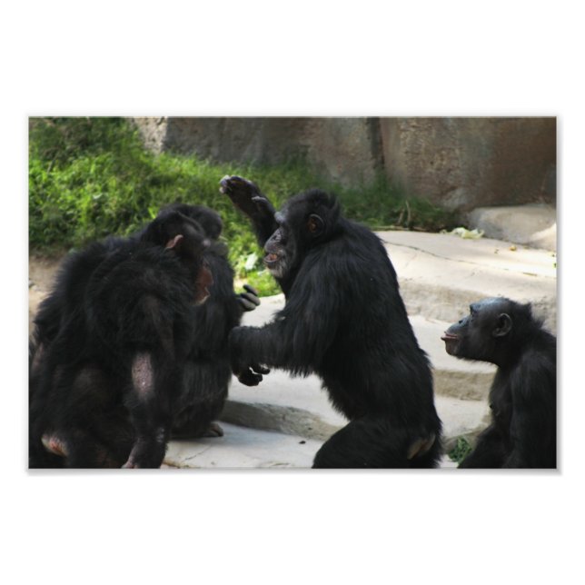 Foto Zoológico de Los Ángeles (Frente)