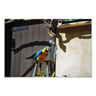 Foto Zoológico de Los Ángeles