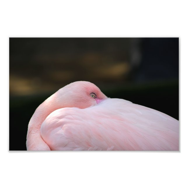 Foto Zoológico de Los Ángeles (Frente)