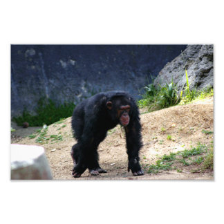 Foto Zoológico de Los Ángeles