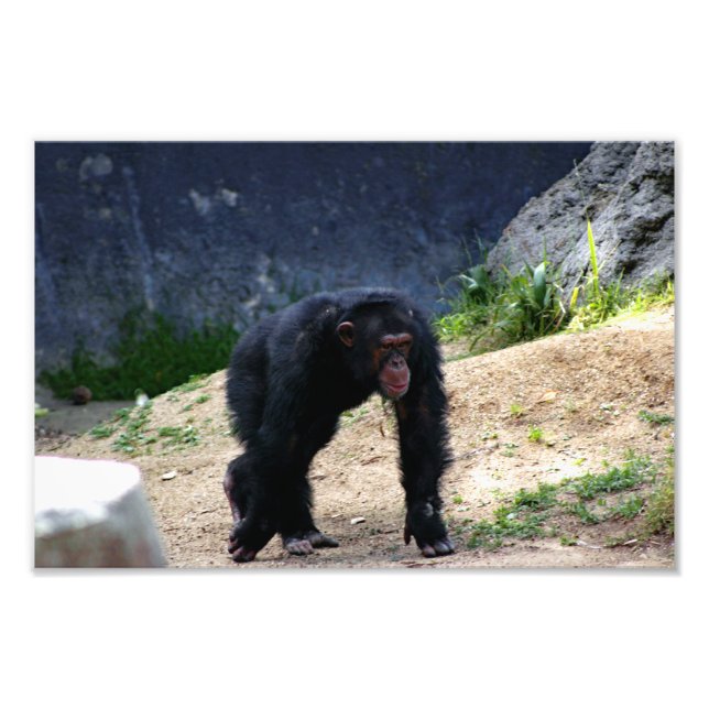 Foto Zoológico de Los Ángeles (Frente)
