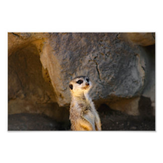 Foto Zoológico de Los Ángeles
