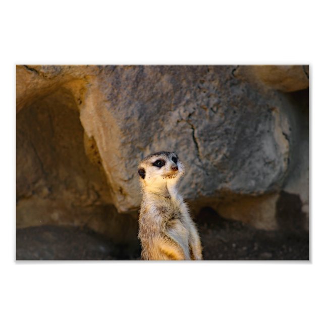 Foto Zoológico de Los Ángeles (Frente)