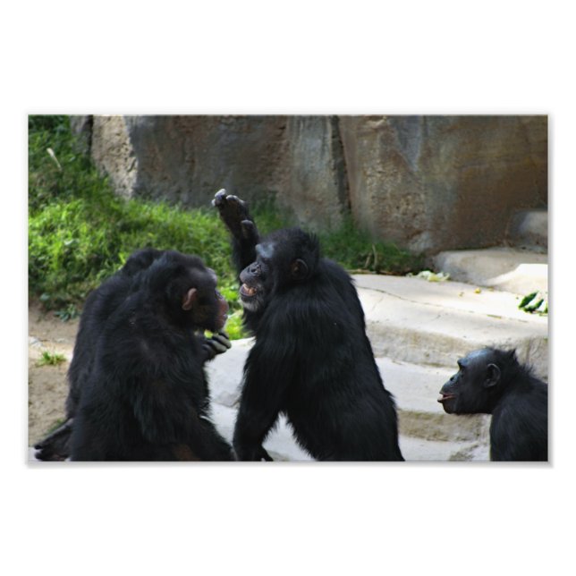 Foto Zoológico de Los Ángeles (Frente)