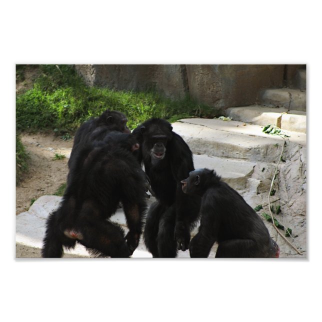 Foto Zoológico de Los Ángeles (Frente)