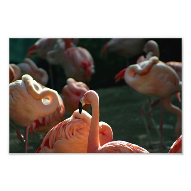 Foto Zoológico de Los Ángeles (Frente)