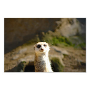 Foto Zoológico de Los Ángeles