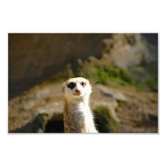 Foto Zoológico de Los Ángeles (Frente)