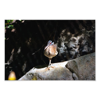 Foto Zoológico de Los Ángeles