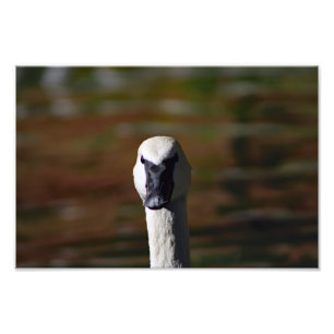 Foto Zoológico de Los Ángeles