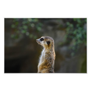 Foto Zoológico de Los Ángeles