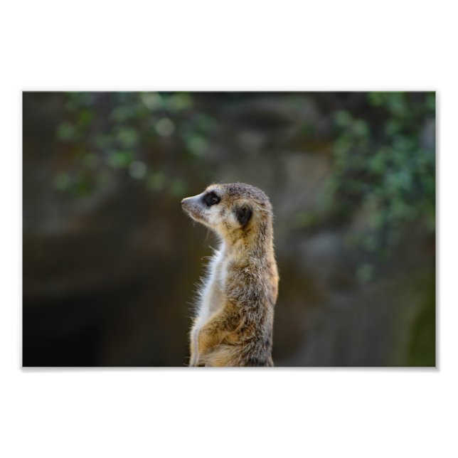 Foto Zoológico de Los Ángeles (Frente)