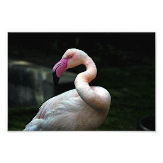 Foto Zoológico de Los Ángeles