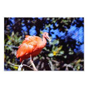 Foto Zoológico de Santa Ana