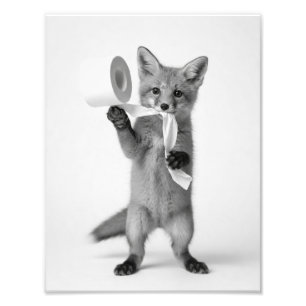 Foto Zorro Divertido Sosteniendo Papel Higiénico Fauna