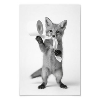 Foto Zorro Divertido Sosteniendo Papel Higiénico Fauna