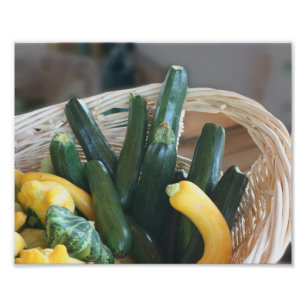 Foto Zucchini Verano Squash Gourds Vegetales 8x10