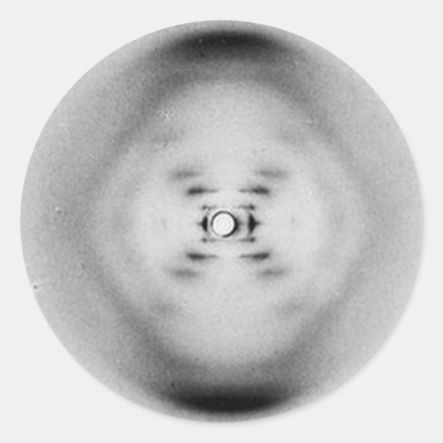Fotografía 51 de Rosalind Franklin | Pegatina de A (Anverso)