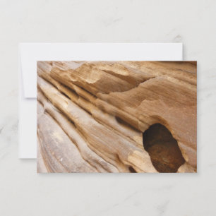 Fotografía abstracta de la naturaleza de la pared
