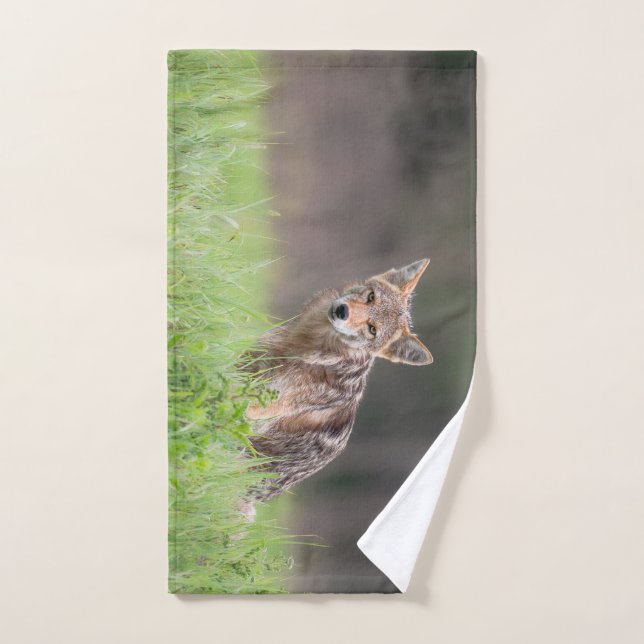 Fotografía animal, Coyote marrón (Toalla de mano)