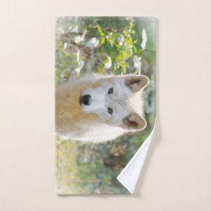 Fotografía animal, Lobo gris