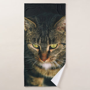 FOTOGRAFÍA CERRADA DEL GATO DE TABBY GRIS