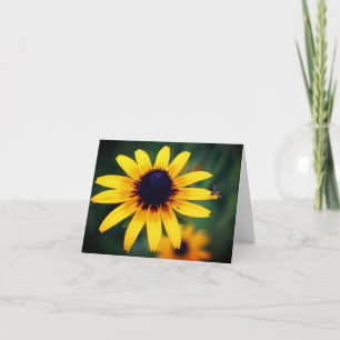 Fotografía de abeja en flor de Susana de ojos negr