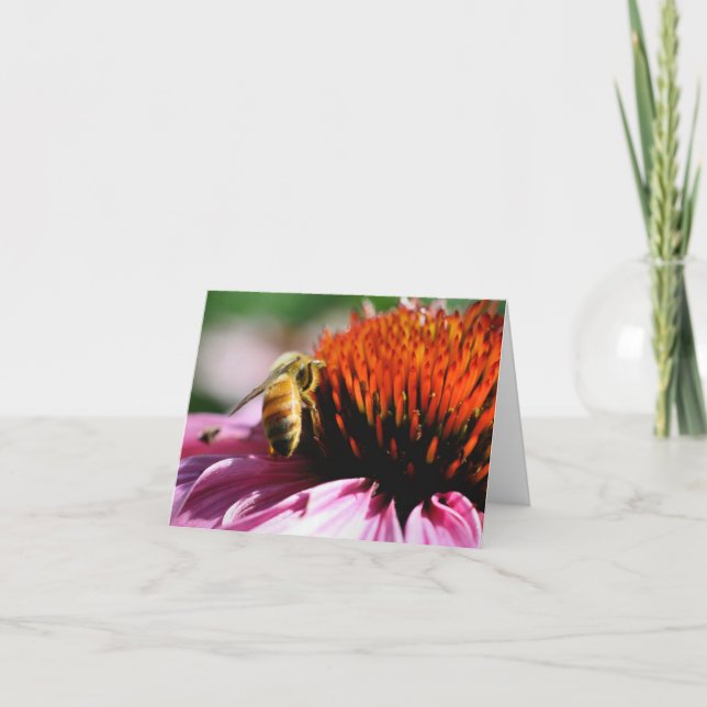 Fotografía de abeja melífera en flor (Anverso)