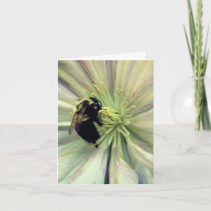 Fotografía de abejorro en flor de clemátide 