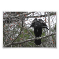 Fotografía de Angel Crow