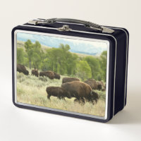 Fotografía de animales de la naturaleza de Wyoming