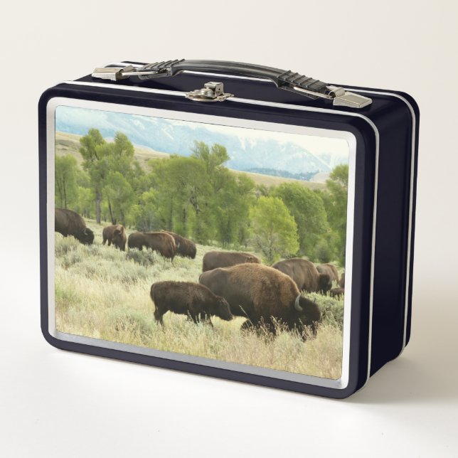 Fotografía de animales de la naturaleza de Wyoming (Anverso)