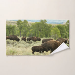 Fotografía de animales de la naturaleza de Wyoming