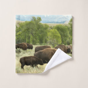 Fotografía de animales de la naturaleza de Wyoming