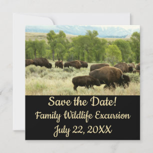 Fotografía de animales de la naturaleza de Wyoming