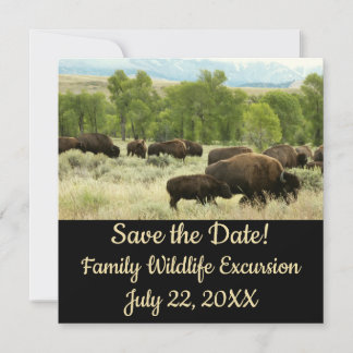 Fotografía de animales de la naturaleza de Wyoming