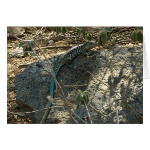 Fotografía de animales tropicales del lagarto cola