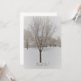 Fotografía de árboles en invierno