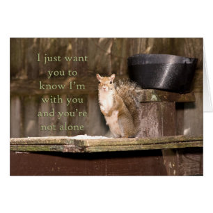 Fotografía de ardilla no estás solo Notecard