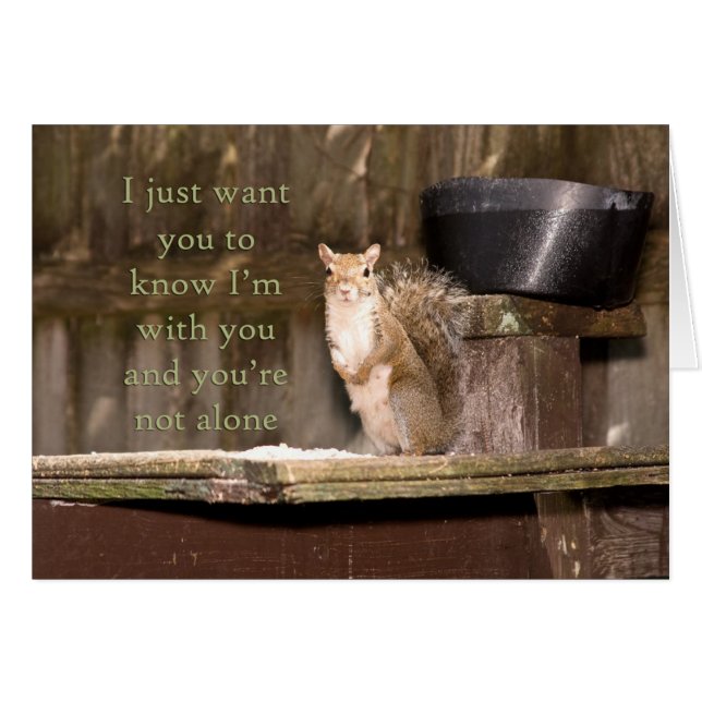 Fotografía de ardilla no estás solo Notecard (Anverso (Horizontal))