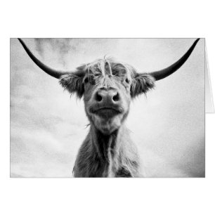 Fotografía de Arte al Estilo Mesotint de la vaca