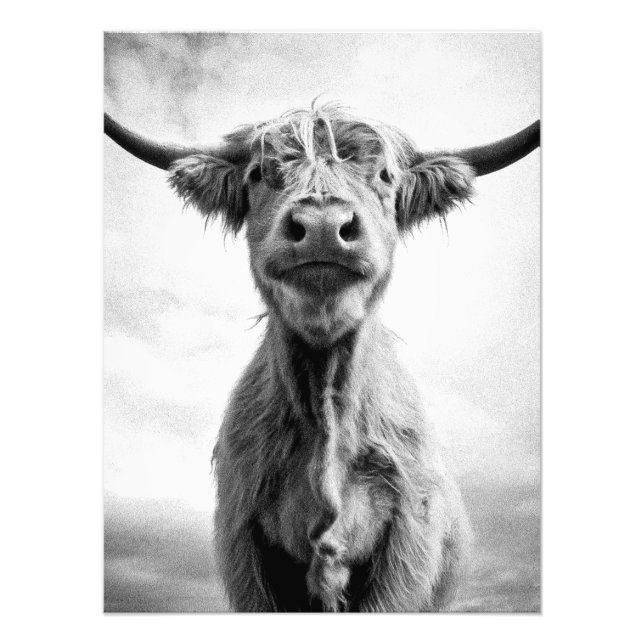 Fotografía de arte en estilo mesotint de vaca sagr (Frente)