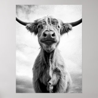 Fotografía de arte en estilo mesotint de vaca sagr