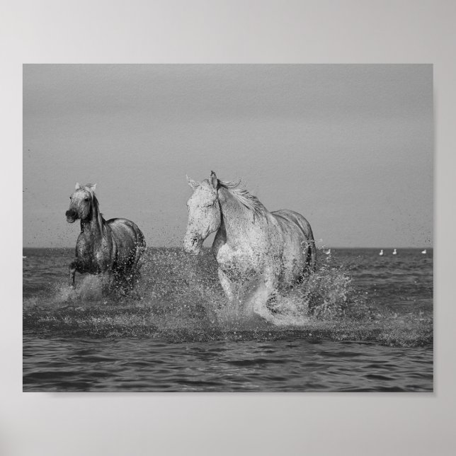 Fotografía de arte fino equino, (Frente)