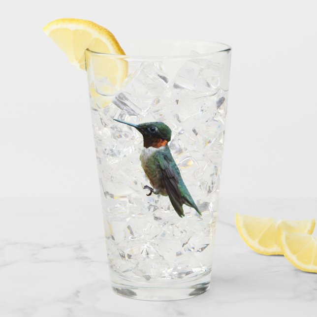 Fotografía de aves de colibrí de garganta rubí (Anverso (hielo))