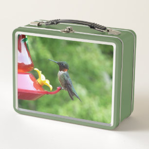Fotografía de aves de colibrí de garganta rubí